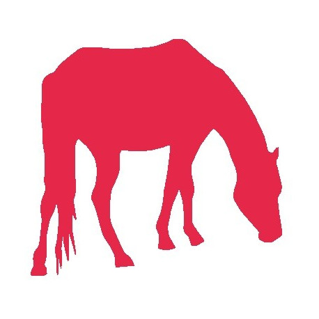 Sticker Cheval