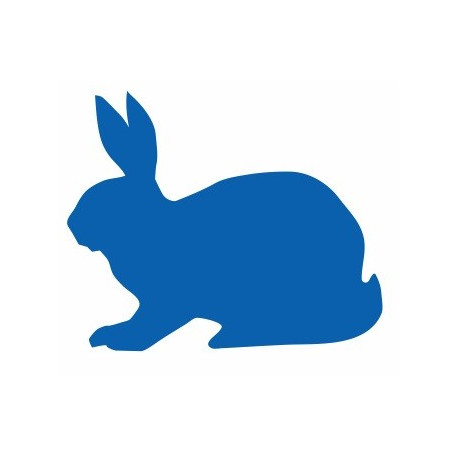 Sticker Lapin chambre deco