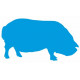 Autocollant mural Cochon