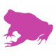 Sticker - Grenouille REFG441
