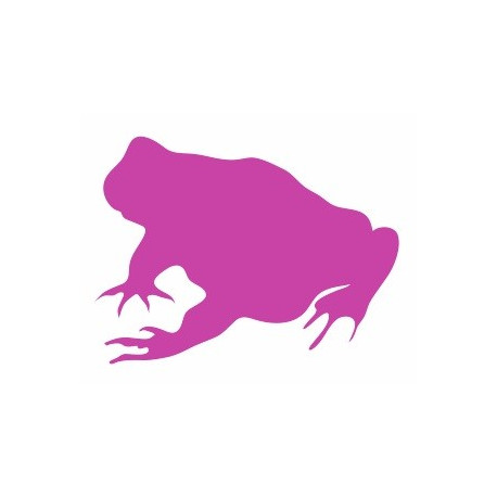 Sticker - Grenouille REFG441