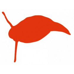 Sticker - Escargot REFG444