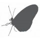 Autocollant Papillon