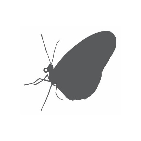 Autocollant Papillon