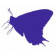 Sticker Papillon salon