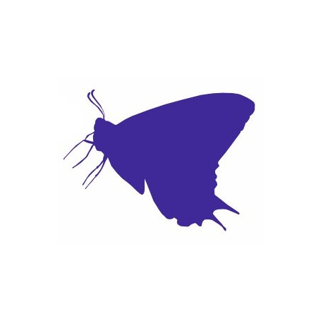 Sticker Papillon salon