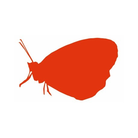 Sticker muraux Papillon