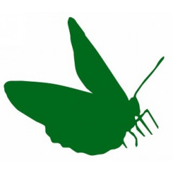 Sticker Papillon pour déco