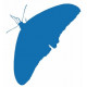 Sticker Papillon decoration