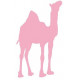 Sticker - Dromadaire REFG010
