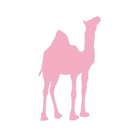Sticker - Dromadaire REFG010