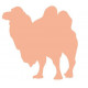 Sticker - Chameau REFG014