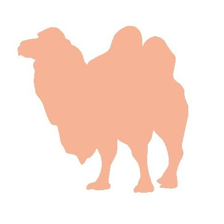 Sticker - Chameau REFG014