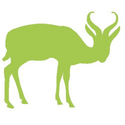 Autocollant mural Gazelle