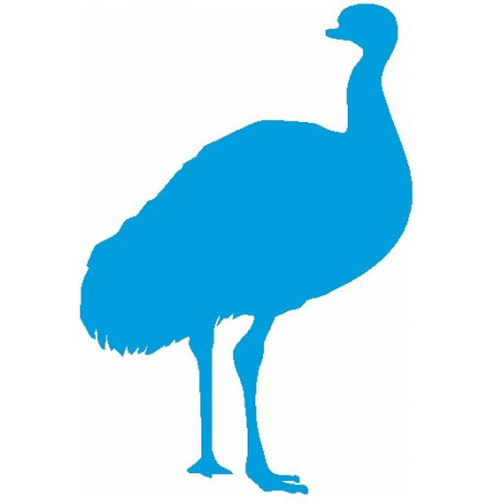 Autocollant Autruche