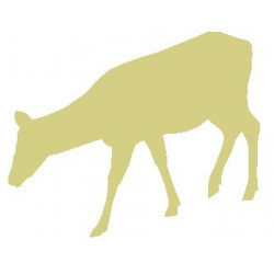 Autocollant muraux Biche