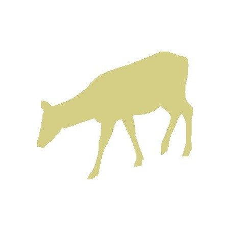 Autocollant muraux Biche