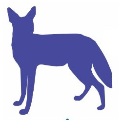 Sticker mural Renard