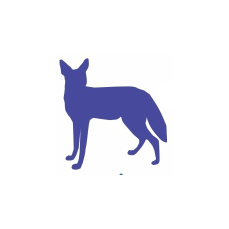 Sticker mural Renard