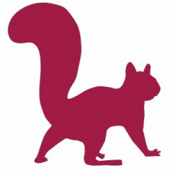 Sticker Ecureuil