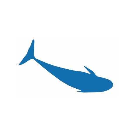 Autocollant Dauphin deco