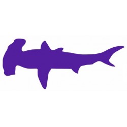 Sticker Requin marteau