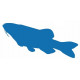 Sticker muraux Poisson chat