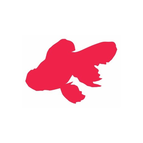Sticker Poisson rouge mural