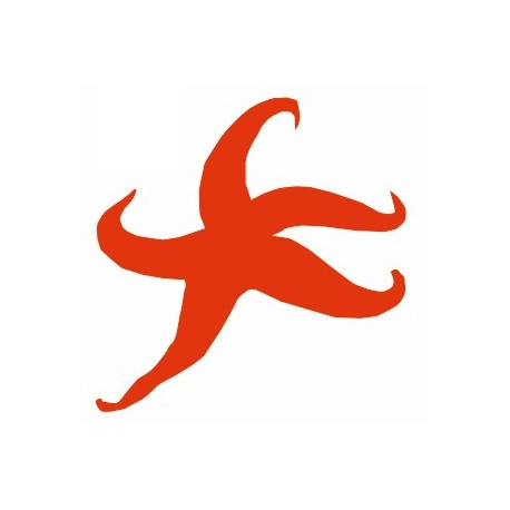  Sticker Etoile de mer silhouette