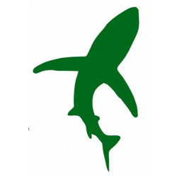 Sticker mural Requin