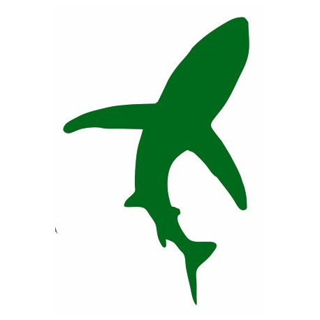 Sticker mural Requin