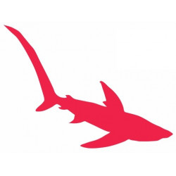 Sticker Requin deco murale