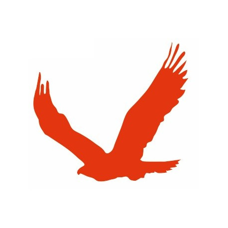 Autocollant Aigle vol