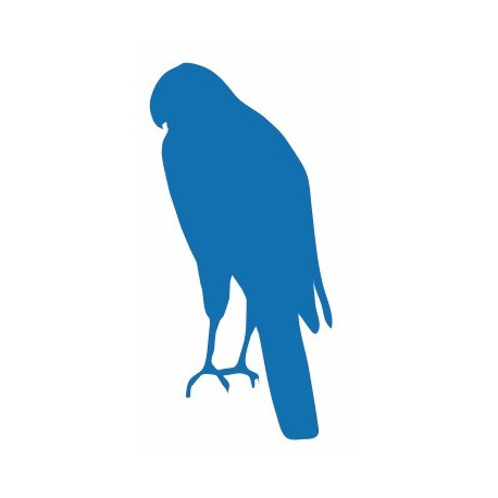 Autocollant Aigle avec griffes