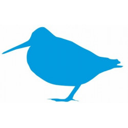 Autocollant Bécassine