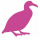Autocollant Canard geant