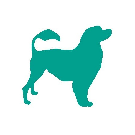 Sticker muraux Chien caniche