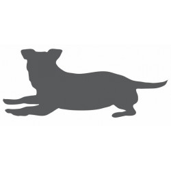 Sticker Chien se repose