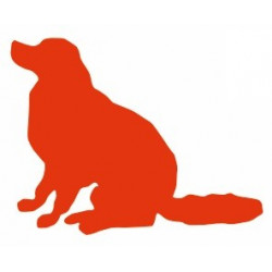 Sticker Chien chambre