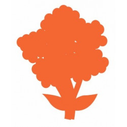 sticker Chou fleur deco