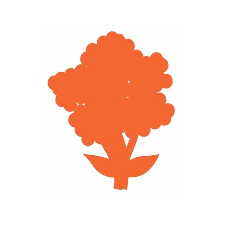 sticker Chou fleur deco