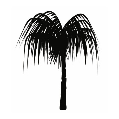 Autocollant Palmier