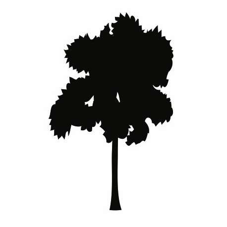 Autocollant mural Arbre