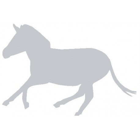 Sticker mural deco Cheval