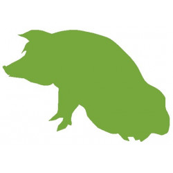 Sticker - Cochon REFG054
