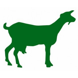 Sticker Chèvre