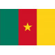 Sticker - Drapeau Cameroun (REFG890)