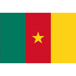Sticker - Drapeau Cameroun (REFG890)