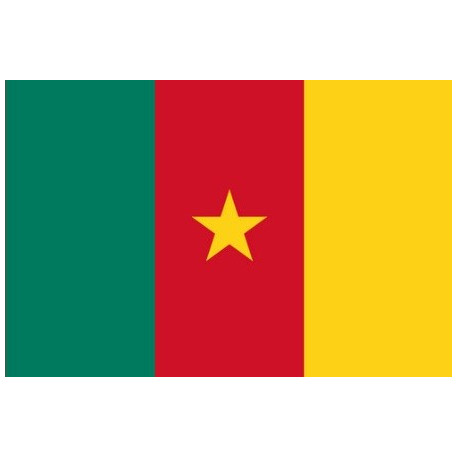 Sticker - Drapeau Cameroun (REFG890)