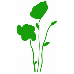 Sticker Coquelicot des champs